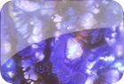 BlueFantasy