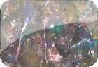 In memoriam Pollock