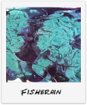 Fishbrain