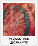 Im Auge der Schlange